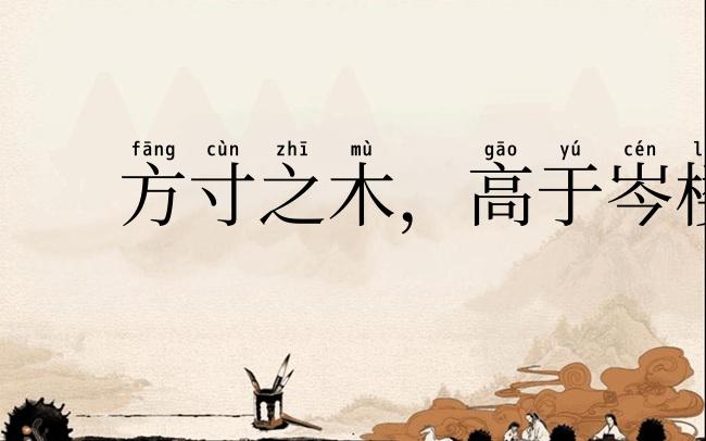 方寸之木，高于岑楼