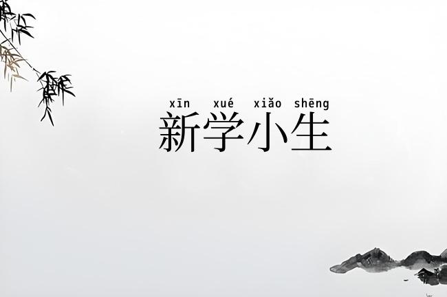 新学小生