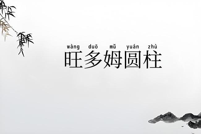 旺多姆圆柱