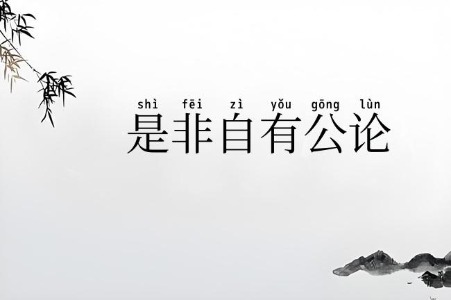 是非自有公论