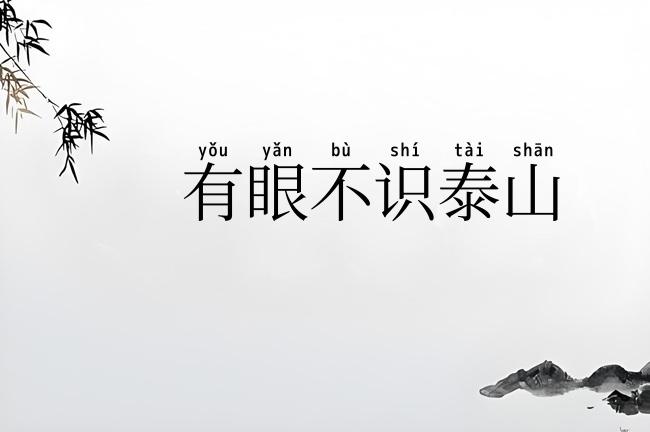 有眼不识泰山