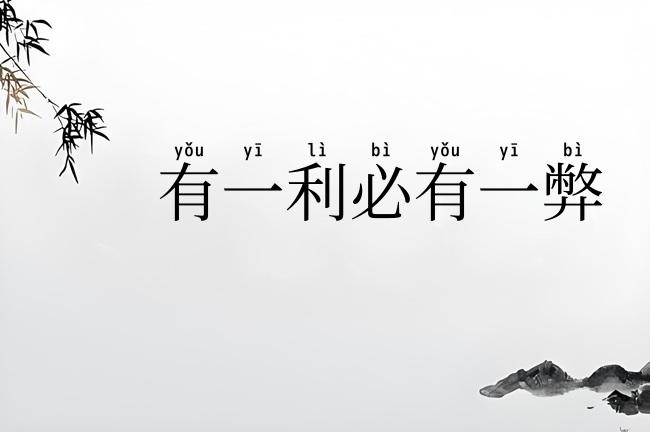 有一利必有一弊