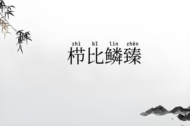 栉比鳞臻