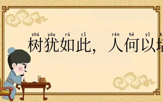 树犹如此，人何以堪