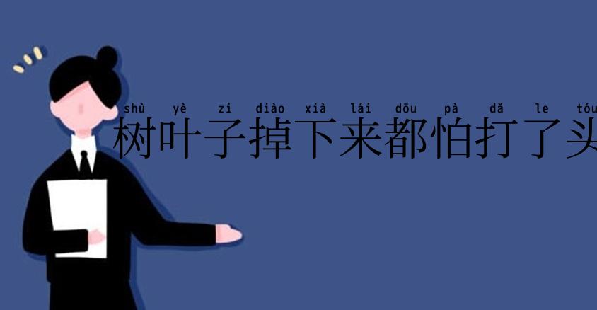树叶子掉下来都怕打了头