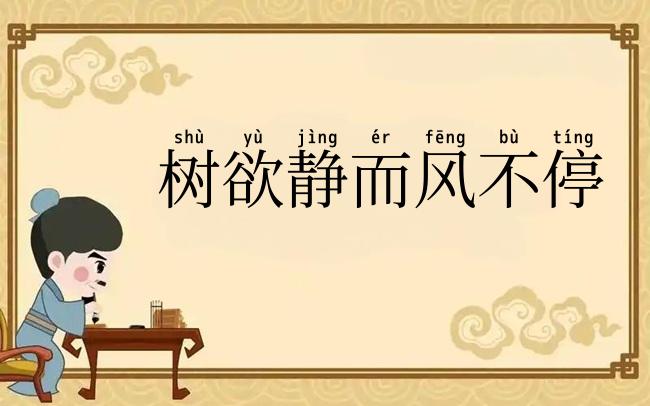 树欲静而风不停