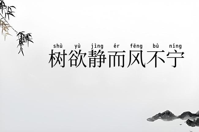 树欲静而风不宁