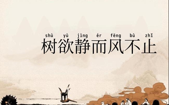 树欲静而风不止