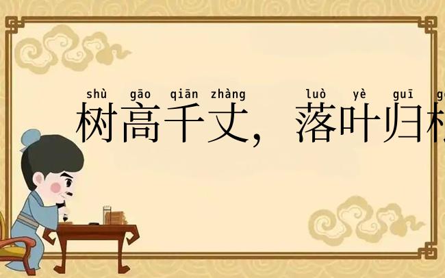 树高千丈，落叶归根