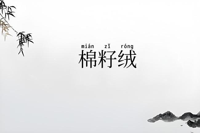 棉籽绒