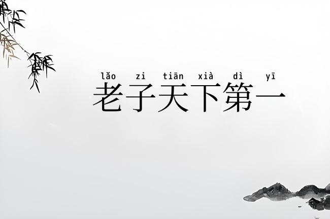 老子天下第一