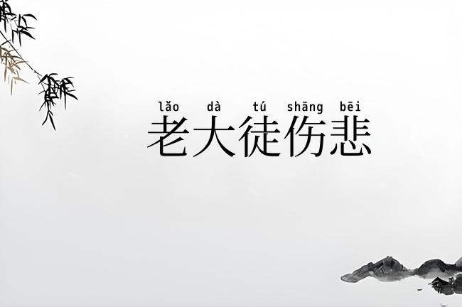 老大徒伤悲