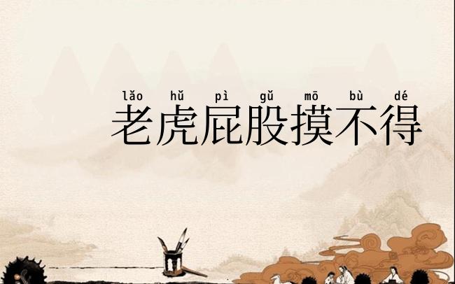 老虎屁股摸不得