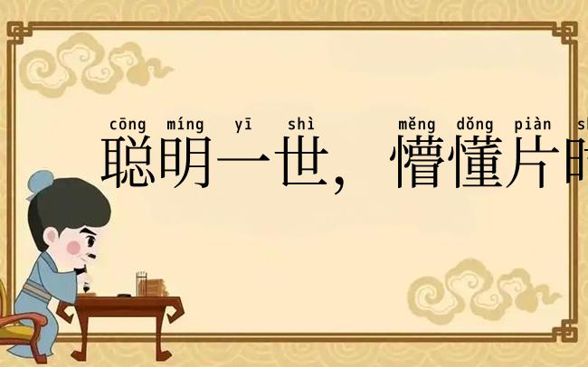 聪明一世，懵懂片时