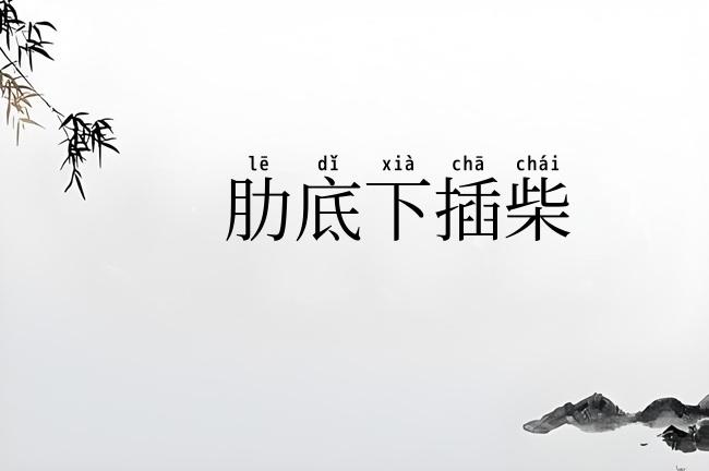 肋底下插柴