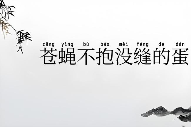 苍蝇不抱没缝的蛋