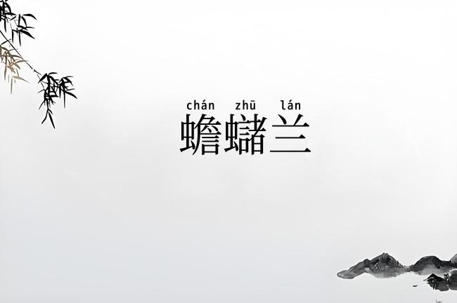 蟾蠩兰