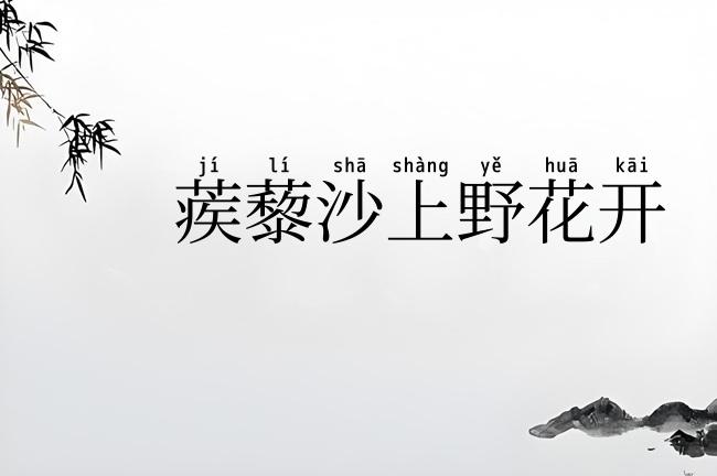 蒺藜沙上野花开