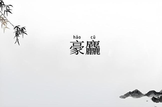 豪麤
