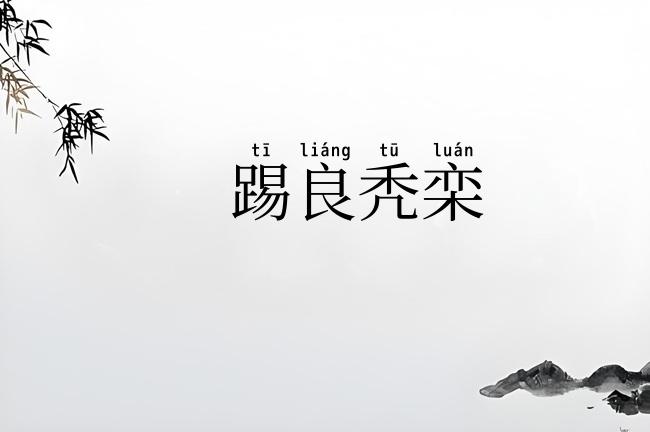 踢良秃栾