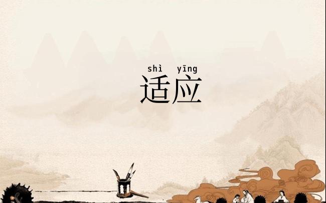 适应