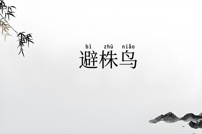 避株鸟