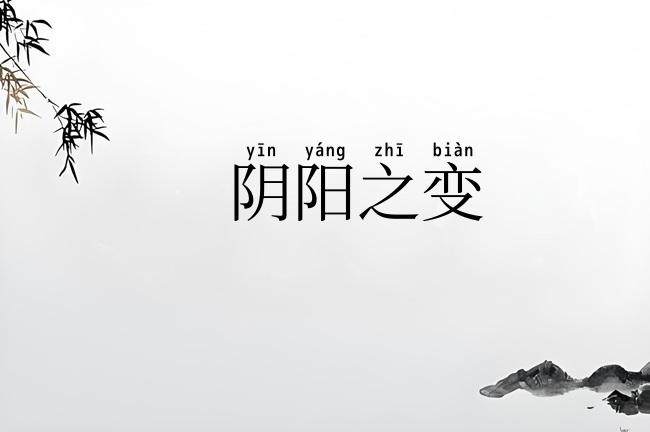 阴阳之变