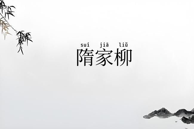 隋家柳