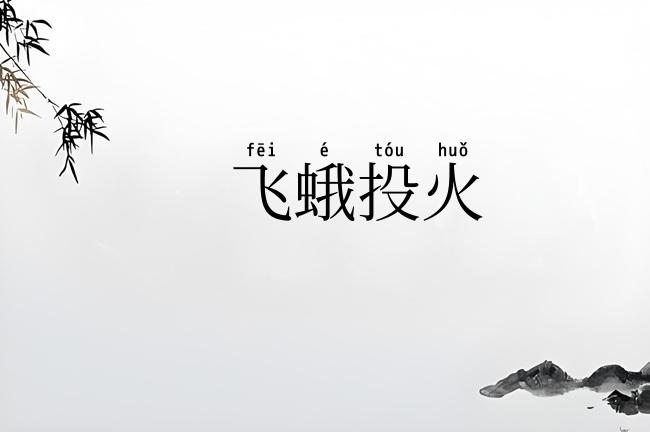 飞蛾投火