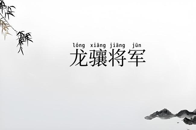 龙骧将军