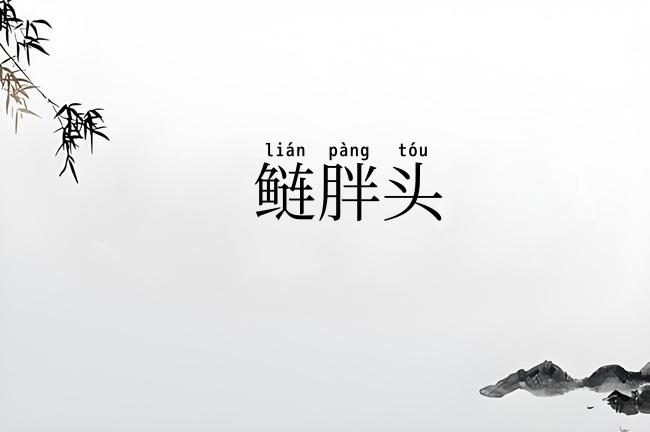 鲢胖头