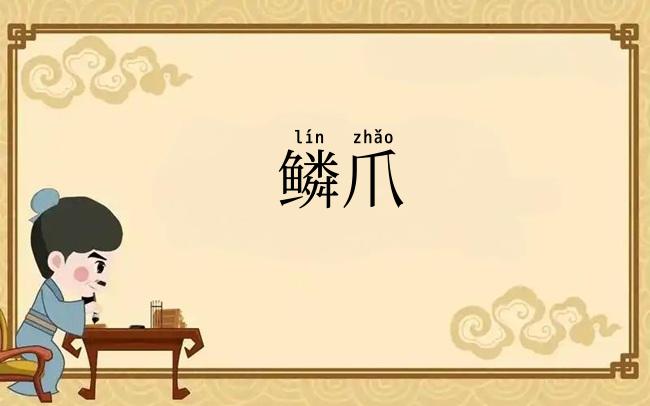 鳞爪