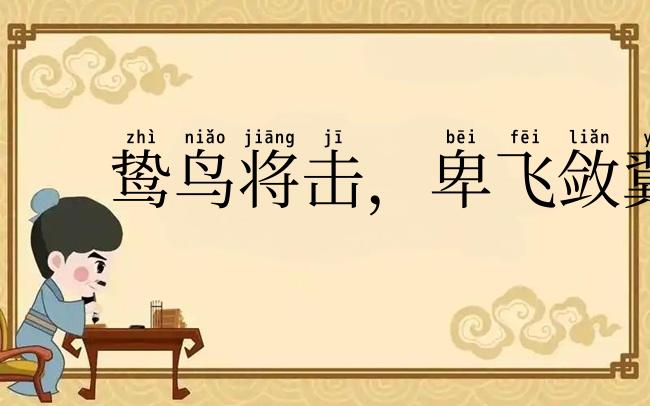 鸷鸟将击，卑飞敛翼