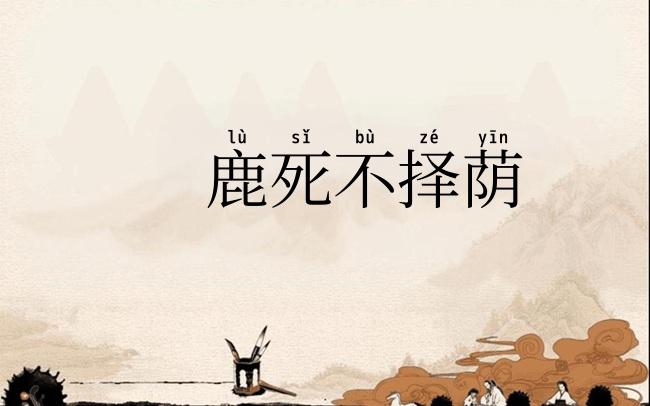 鹿死不择荫