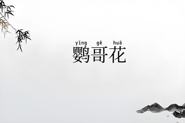 鹦哥花