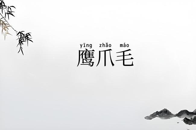 鹰爪毛