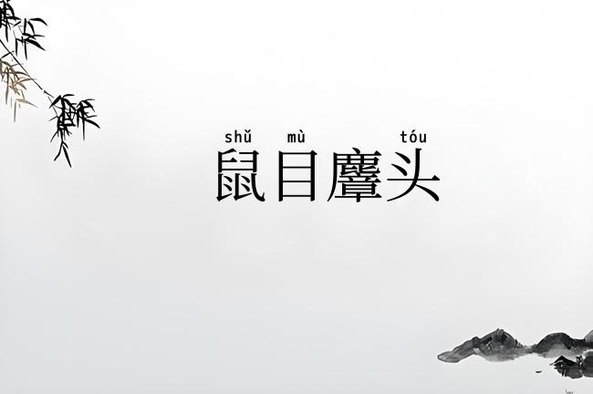 鼠目麞头