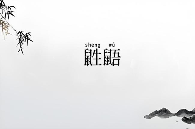 鼪鼯